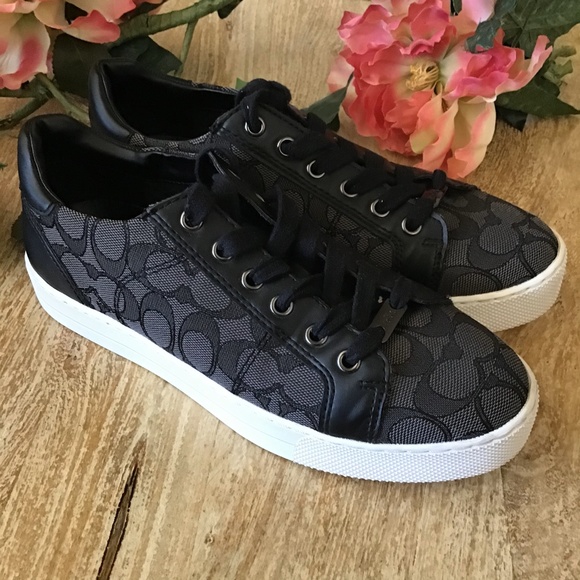 Coach- Paddy Signa. Logo Sneakers - Picture 2 of 14